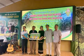 Phú Mỹ đồng hành Lễ hội Sầu riêng Đắk Lắk 2026: Khởi đầu từ hoạt động thụ phấn hoa