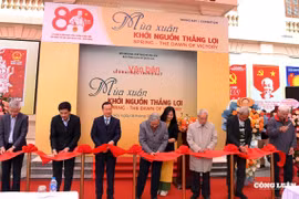 Tái hiện những mùa xuân lịch sử qua trưng bày ‘Mùa Xuân - Khởi nguồn thắng lợi’