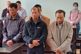 Gia Lai: Ba nhân viên bảo vệ rừng nhận tiền để lâm tặc triệt hạ 121 cây gỗ