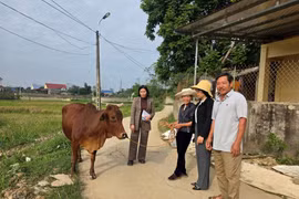 Thái Nguyên hỗ trợ sinh kế cho 1.000 hộ nghèo, cận nghèo