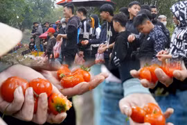Độc đáo Lễ hội ném cà chua ở Thanh Hóa: Càng ném nhiều càng may mắn