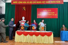 Không khí ngày bầu cử thực sự là ngày hội non sông