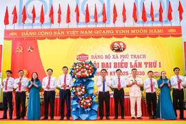 Phú Trạch (Quảng Trị): Khơi thông nguồn lực sau sáp nhập, tạo đà phát triển bền vững