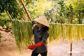 Vải làm từ sợi lá dứa: Nguyên liệu cho ngành thời trang xanh
