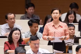 Đại biểu Quốc hội đề nghị bổ sung tiêu chí đánh giá gắn với kinh nghiệm thực tế của luật sư công