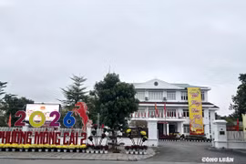 Phường Móng Cái 2: Bước chuyển mình trong kỷ nguyên mới