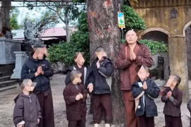 Chấn chỉnh hoạt động nuôi trẻ tại chùa Cẩm La, bàn giao toàn bộ trẻ trước Tết