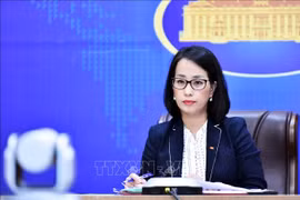 Việt Nam hoan nghênh mọi nỗ lực nhằm đem lại hòa bình bền vững cho Dải Gaza
