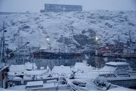 Greenland sống nhờ trợ cấp và tôm xuất khẩu