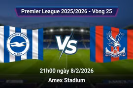 Brighton vs Crystal Palace (21h, 8/2): Link xem trực tiếp, nhận định dự đoán
