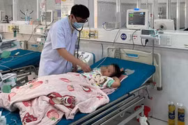 Gia Lai: 31 học sinh bị ong khoái đốt, một em phải lọc máu hơn 53 giờ do sốc phản vệ
