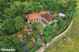Lối nhỏ chờ xuân