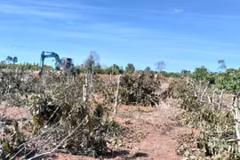Gia Lai: Bàn giao gần 10 km mặt bằng thi công Dự án thành phần 3 cao tốc Quy Nhơn - Pleiku