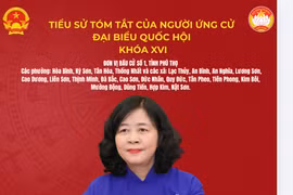 Chủ tịch Ủy ban Trung ương MTTQ Việt Nam Bùi Thị Minh Hoài ứng cử đại biểu Quốc hội tại Phú Thọ