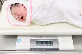 Phú Thọ đón công dân nhí đầu tiên chào đời trong đêm giao thừa Xuân Bính Ngọ