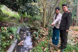 Phú Thọ: Xử phạt 107 triệu đồng cơ sở chăn nuôi gây ô nhiễm môi trường tại xã Đoan Hùng