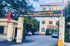 Ninh Bình: Số lượng Phó Giám đốc các cơ quan chuyên môn tối đa không quá 71 người