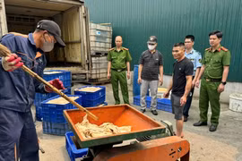 Hưng Yên: Tiêu hủy 570 kg lòng lợn bốc mùi hôi thối đang trên đường tiêu thụ