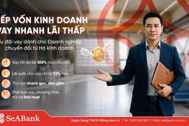 Nghịch lý “lính mới”: Kinh doanh nhiều năm vẫn khó vay vốn sau khi chuyển đổi doanh nghiệp