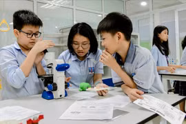 Giáo dục Việt Nam - một ‘ngoại lệ quốc tế’