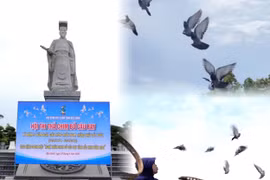 Sôi động Hội thi thả chim bồ câu bay tại Bắc Ninh