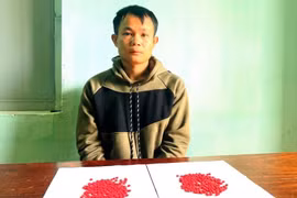 Thanh Hóa: Bắt giữ đối tượng vận chuyển gần 400 viên ma túy tổng hợp