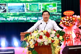 Khánh Hòa: Tăng cường quản lý, bảo vệ rừng, đất rừng và chống săn bắt chim yến