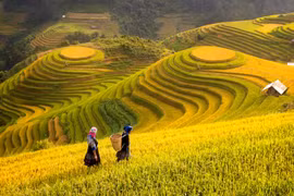 Sa Pa - điểm đến được truyền thông Hàn Quốc, Thái Lan ca ngợi