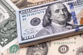 Tỷ giá ngoại tệ hôm nay 13/1: USD lao dốc vì biến động tại Fed, tỷ giá trung tâm tăng lên 25.129 đồng