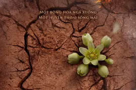 Phim điện ảnh ‘Đất đỏ’ khởi động đợt casting quy mô lớn