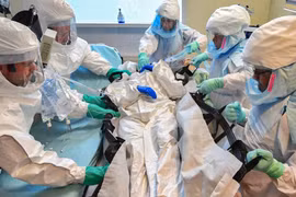 Nipah - virus tử vong tới 75%: Thế giới có đối mặt một 'COVID-19 mới'?
