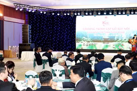 Ninh Bình gặp gỡ, kết nối cộng đồng người Việt Nam ở nước ngoài