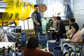 Ninh Bình: Khởi tố, bắt tạm giam đối tượng dùng “nước kẹo” sản xuất gần 2,8 tấn giá đỗ