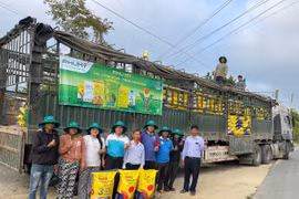 NPK Phú Mỹ đồng hành cùng vùng nguyên liệu mía tỉnh Đắk Lắk