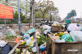 Hà Nội chỉ đạo xử lý rác thải sinh hoạt chất đống ở Hà Đông sau phản ánh của Báo Nhà báo và Công luận