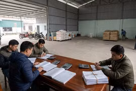 Giá tiêu hôm nay 20/1: Đà giảm lan rộng, thị trường "nghỉ Tết" sớm