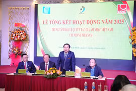 Website, ứng dụng nghe nhạc mang về gần 300 tỉ đồng tiền bản quyền năm 2025