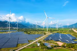 Trungnam Group quay trở lại với tín hiệu tài chính tích cực và kế hoạch kinh doanh cho 2026
