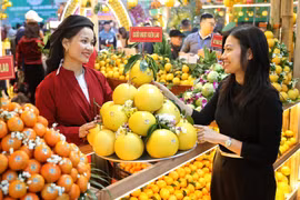 Bắc Ninh: Chi hơn 14 tỷ đồng đẩy mạnh các hoạt động xúc tiến thương mại năm 2026