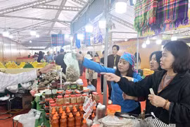 Quảng Ninh: Mạnh tay xử phạt hàng trăm cơ sở vi phạm vệ sinh an toàn thực phẩm