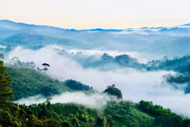 Dự báo thời tiết ngày 1/2: Tây Nguyên trời rét, Nam Trung Bộ có mưa vài nơi