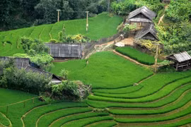 Dự báo thời tiết ngày 13/1: Cả nước nắng ráo, chênh lệch nhiệt độ ngày đêm lớn