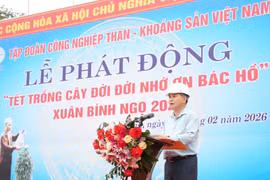TKV phát động “Tết trồng cây đời đời nhớ ơn Bác Hồ” Xuân Bính Ngọ 2026