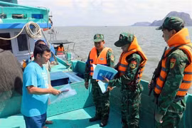 'Khép hồ sơ' IUU trên 90%: Thủ tướng yêu cầu kiểm tra tính thực chất