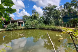 Chuyển đất vườn, ao sang đất ở: Chỉ được áp dụng mức tính tiền ưu đãi một lần