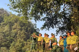 Tuyên Quang: Quyết liệt triển khai các biện pháp cấp bách phòng cháy, chữa cháy rừng