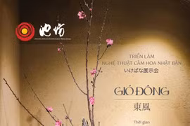 Triển lãm 'Gió Đông': Không gian hoa đạo Nhật giữa lòng Hà Nội