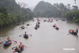 Chở khách sai quy định, 2 lái đò tại chùa Hương bị đình chỉ