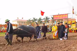 Lễ hội Tịch điền Đọi Sơn xuân Bính Ngọ 2026: Nhà vua xuống đồng cày ruộng