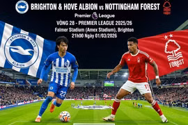 Brighton vs Nottingham (21h, 1/3): Link xem trực tiếp, nhận định dự đoán